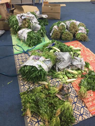 WhatsApp Image 2020-10-10 at 11.02.28 AM (10)