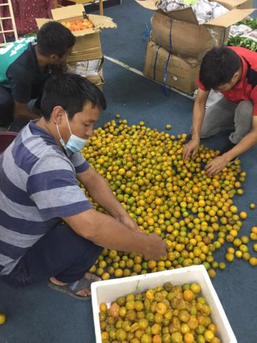 WhatsApp Image 2020-10-10 at 11.02.28 AM (9)