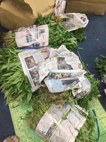 WhatsApp Image 2020-10-10 at 11.02.29 AM